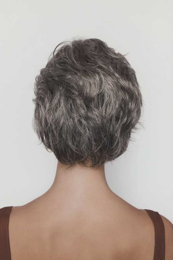 The Orchid Collection Asha Wig - 6550