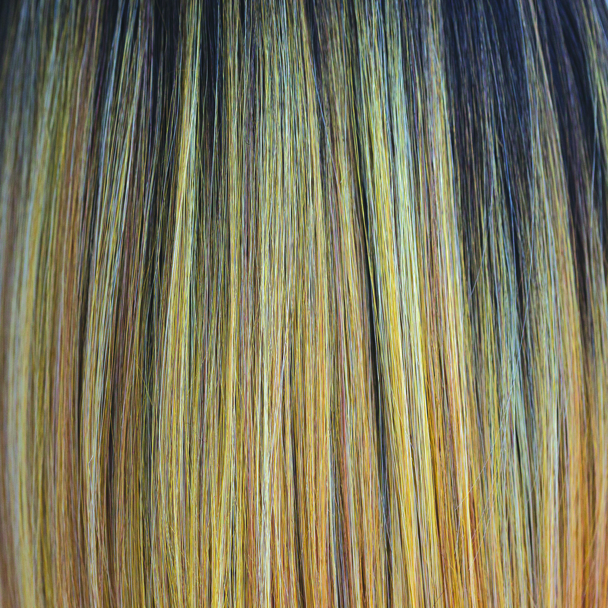 Sunkiss  -  A medium brown rooted color which is highlighted throughout the blonds. Variety of warm shades, blends of honey gold and Tuscan sun. Heat Friendly.