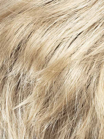 CHAMPAGNE SHADED 24.23.14 | Lightest Ash Blonde, Medium Ash Blonde with Light Golden Blonde blend with dark shaded roots