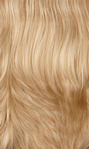 Mane Attraction Hollywood