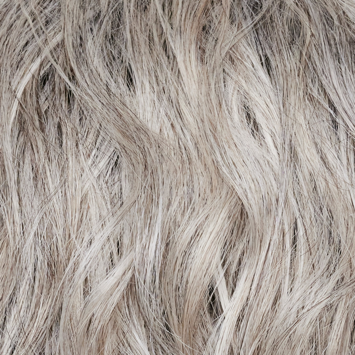 Silver Brown-MR  -  This Micro Root, has a very small regrowth which transcends into the silver, grey and honey brown tones. 