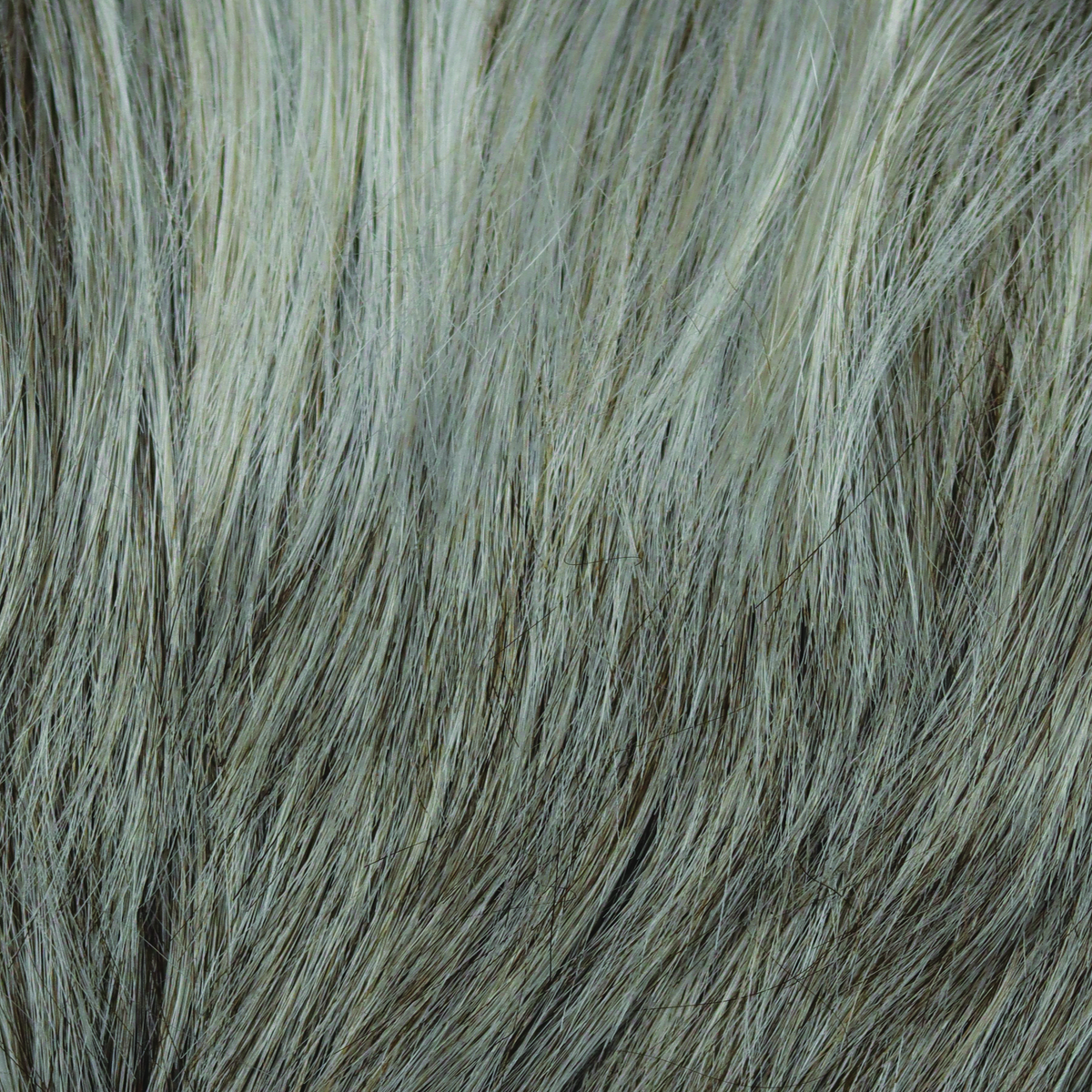 Silver Frost  -  A silvery white and creamy white and features well-balanced white highlights in front.