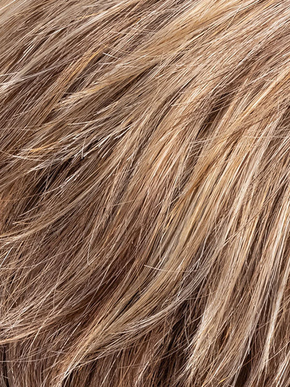 BERNSTEIN MIX 12.26 | Lightest Brown Blended with Light Golden Blonde